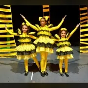 Traje de abejas's photo #1